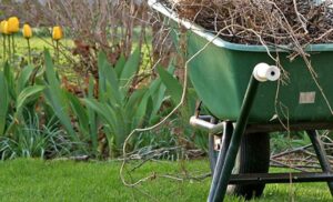 Spring Cleanup