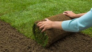 Sod Delivery and Installation